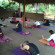 Banyan Tree Yoga 