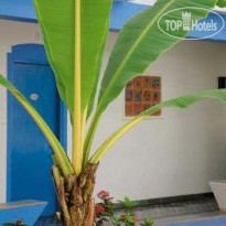 Lemon Tree Amarante Beach Resort