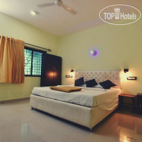 Ashvem Banyan Tree 