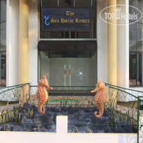 The Sea Horse Resort