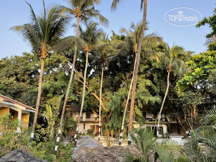 Hotelier's photos Ondas Do Mar Beach Resort 3*