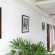 RnB1589 Jaipur 