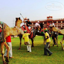 Umaid Lake Palace Hotel 