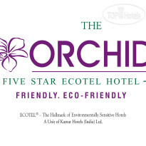 The Orchid 