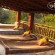 Bandhavgarh Jungle Lodge 