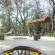 Bandhavgarh Jungle Lodge 