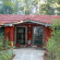 Kanha Jungle Lodge 