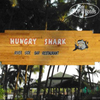 Hungry Shark Guesthouse 
