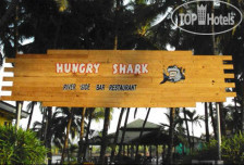 Hungry Shark Guesthouse