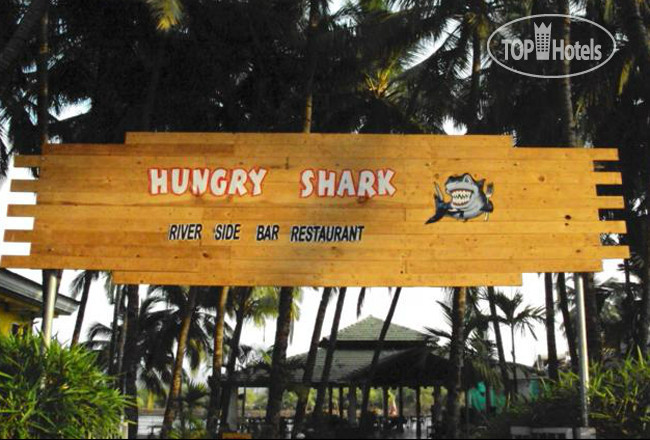 Фотографии отеля  Hungry Shark Guesthouse 