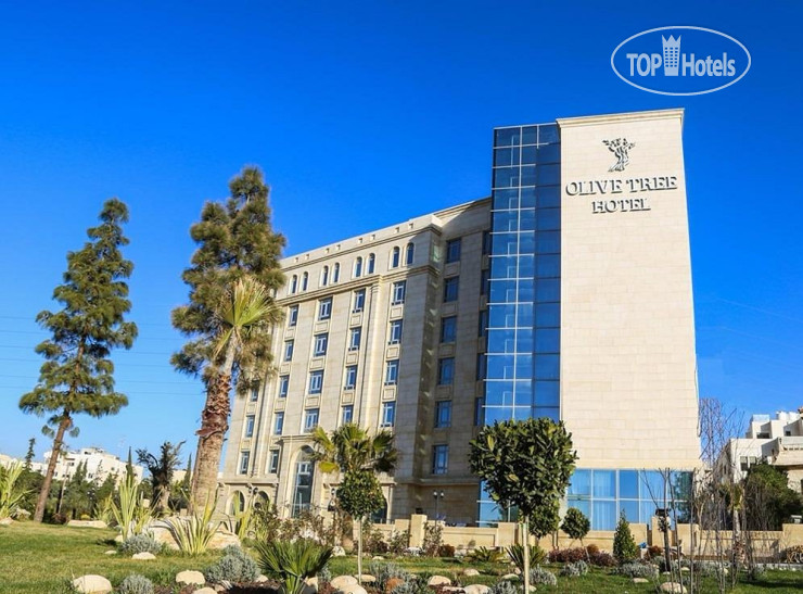 The Olive Tree Hotel