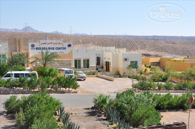 Фотографии отеля  Red Sea Dive Center 