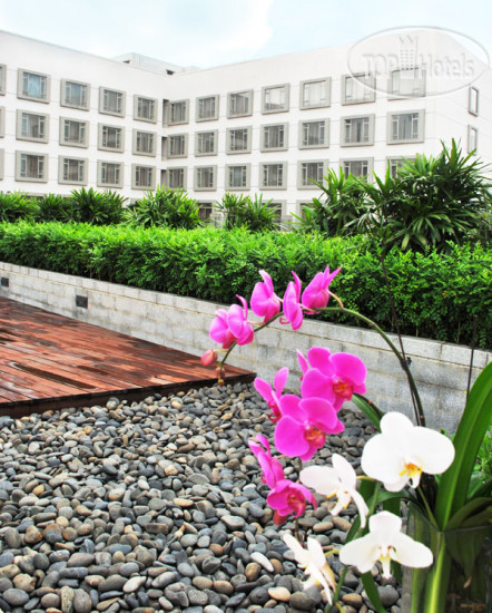 Фото Shunde Jiaxin Conifer Garden Hotel