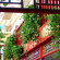 N.E Hotel Beijing 