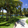 Mangrove Tree Resort 