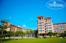 Mangrove Tree Resort 5*