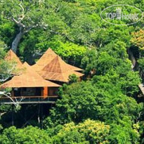 Yalong Bay Tropical Paradise Forest Park 