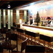 Mandarin Garden Hotel Firenze bar