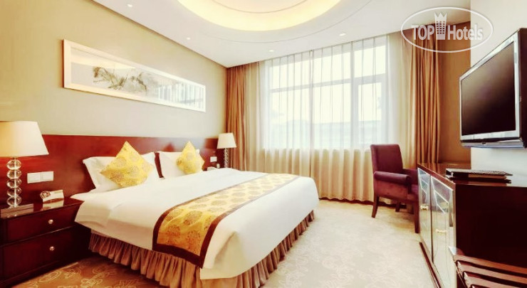 Grand Soluxe International