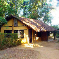 Machan Wildlife Resort 