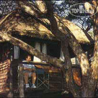 Sikumi Tree Lodge 3*