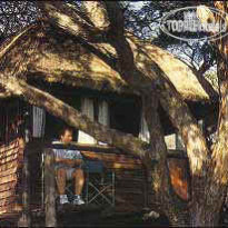 Sikumi Tree Lodge 