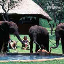 The Elephant Camp Victoria Falls 