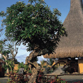 The Oberoi Mauritius 5*