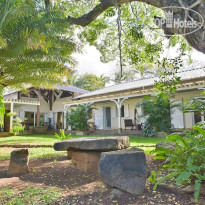 Tree Lodge Mauritius 