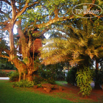 Tree Lodge Mauritius 