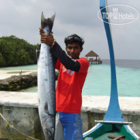 Ranveli Island Resort 