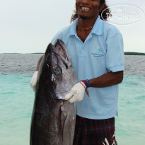 Ranveli Island Resort 