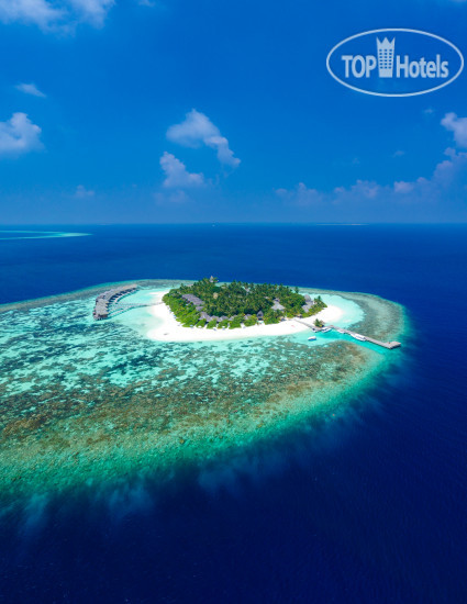 New photos from tourists Kandolhu Maldives 5*