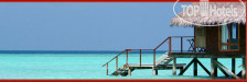 Veligandu Island Resort & Spa 4*