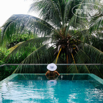 Amilla Maldives Resort & Residences Tree Top Pool Villa