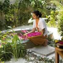 Coco Palm Dhuni Kolhu Coco Spa