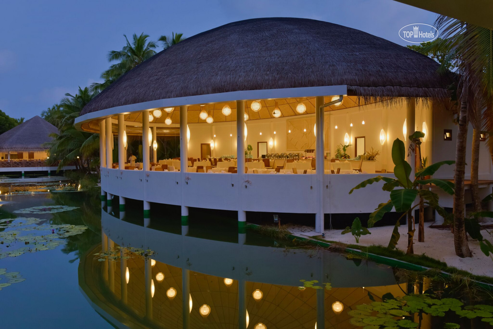 отель дримленд мальдивы бунгало. дреамланд мальдивы резорт. дреамланд мальдивы резорт. Dreamland maldives resort 4* мальдивы. Dreamland resort мальдивы.