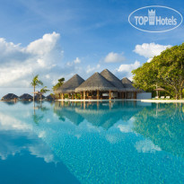 MAIN INFINITY POOL в Dusit Thani Maldives 5*