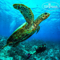 Dusit Thani Maldives 