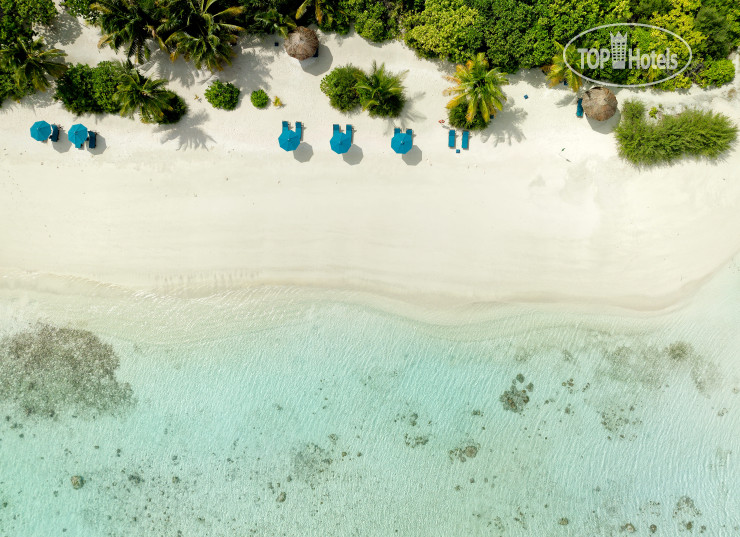 Фотографии отеля  Canareef Resort Maldives 4*