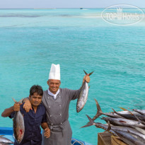 Cocoon Maldives Fishing