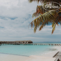 JA Manafaru Infinity Pool & Bar