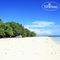 Tropic Tree Maldives 