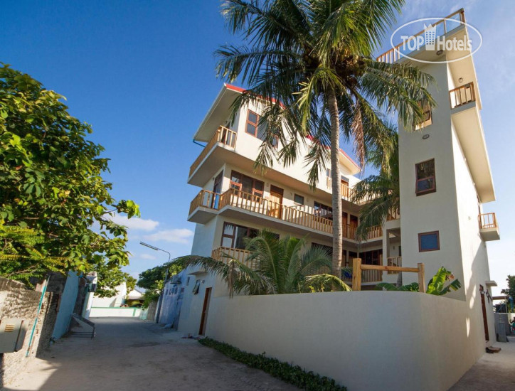Новые добавленные фото туристов Tropic Tree Maldives 3*