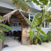 Dhiffushi Inn 