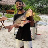 Dhiffushi Inn