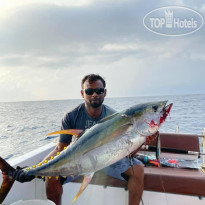 Dhiffushi Inn