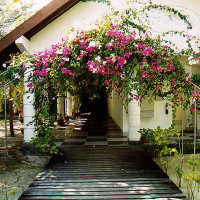 Olhuveli View (закрыт) 4*