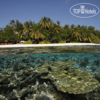 Dhawa Ihuru Housereef