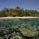 Dhawa Ihuru Housereef